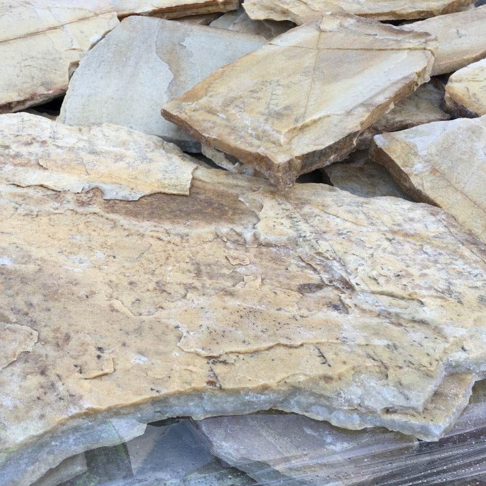 Planchoncillo Amarillo - Velestone