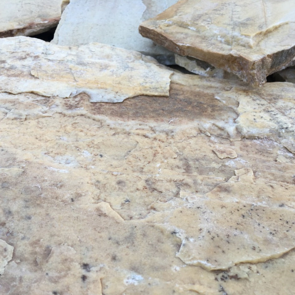 Planchoncillo Amarillo - Velestone