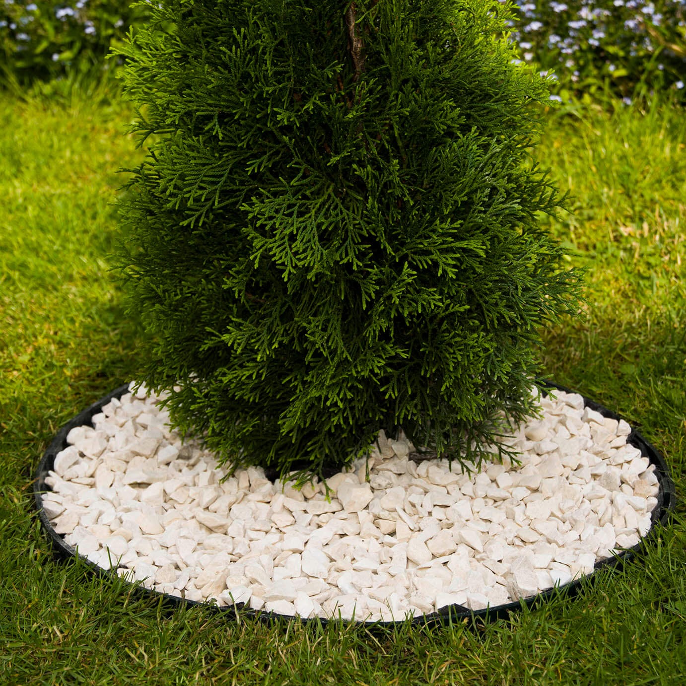 Bordura flexible GREEN Barato, Exteriores, Jardin, Material reciclado, Plástico reciclado, Senderos