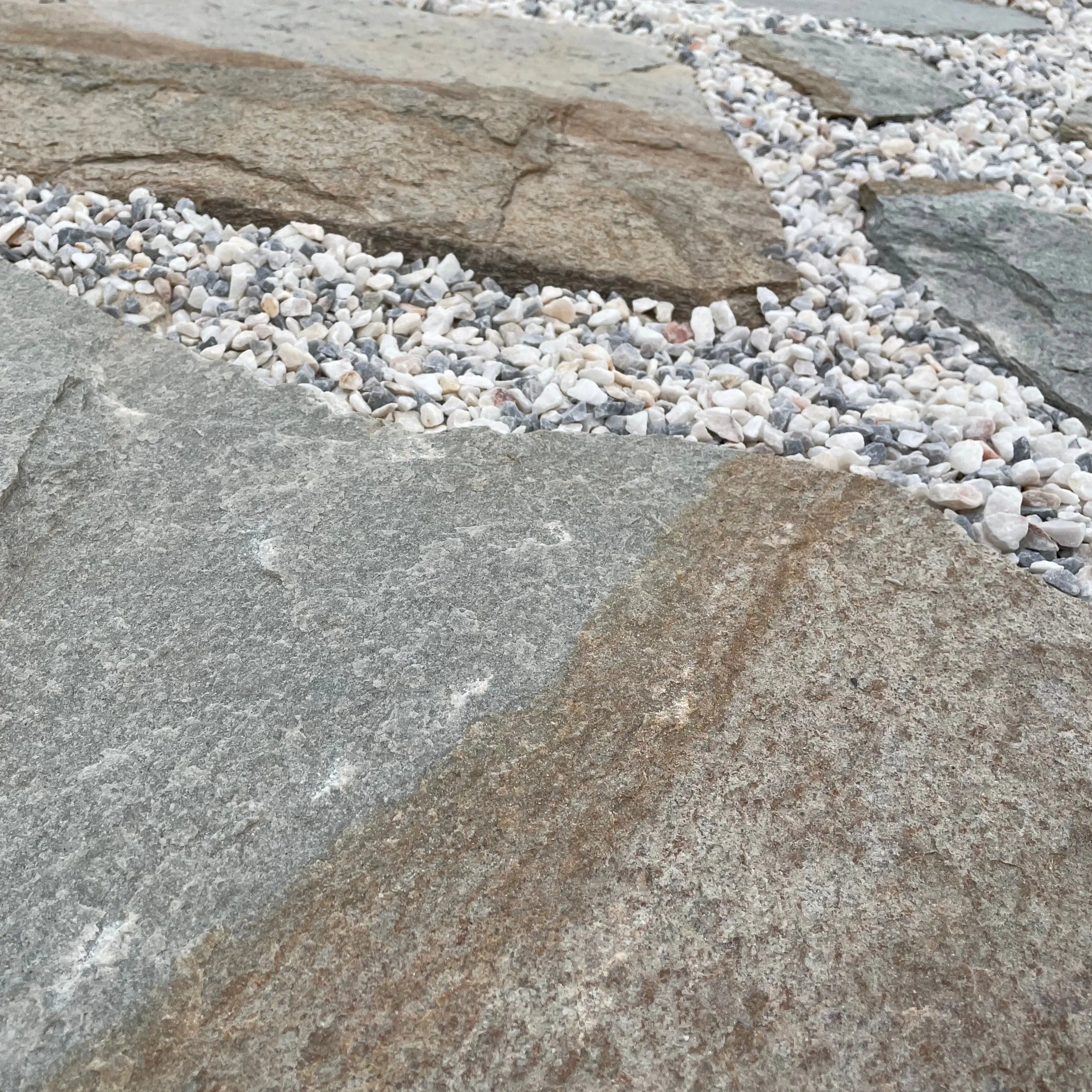 Planchoncillo Plata Bicolor, ideal para decoración de jardines y paisajismo con piedras naturales