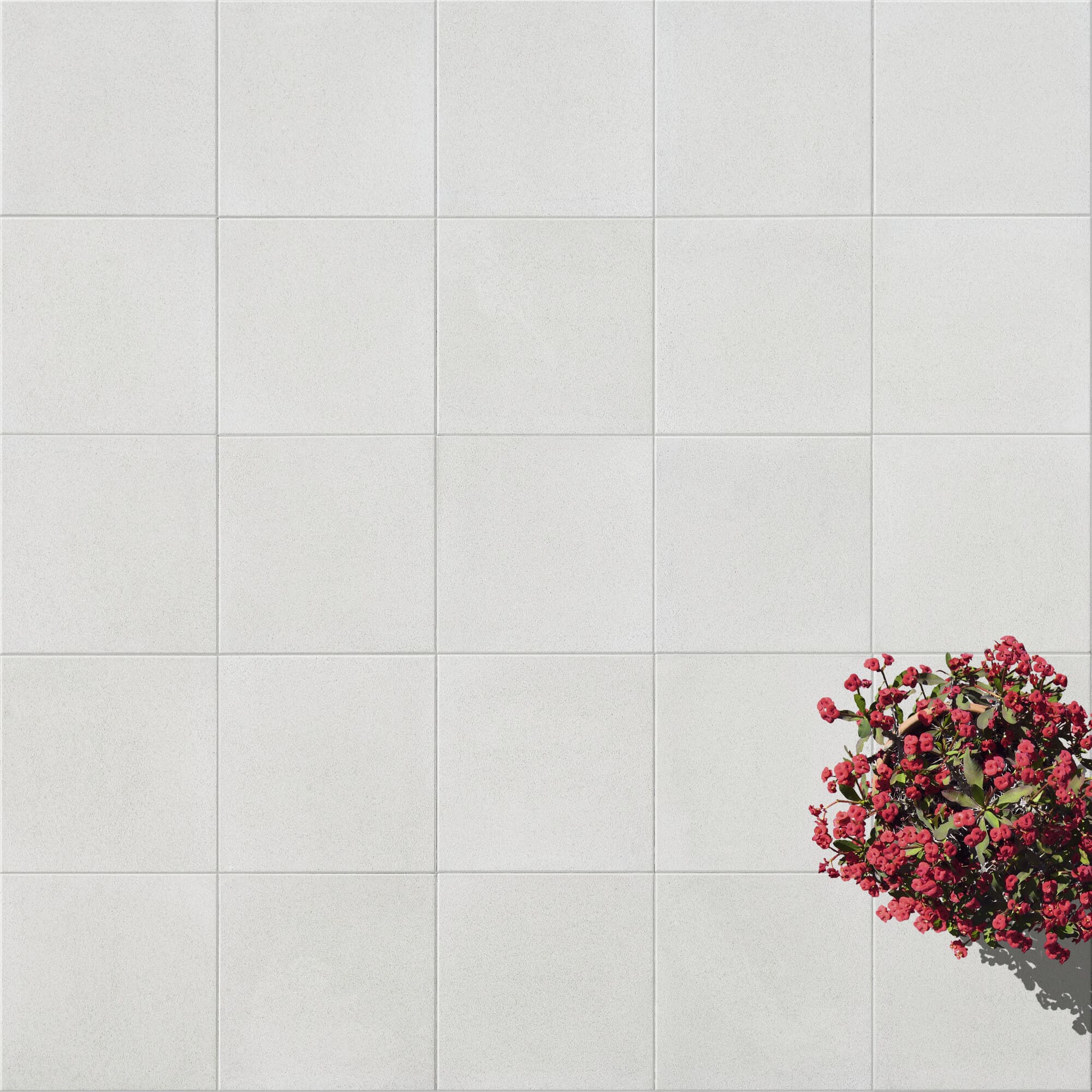 Losa de piedra artificial Vetra ideal para decoración de jardines y paisajismo.