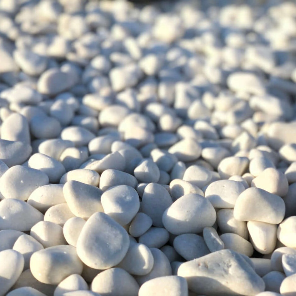 Piedra Canto Rodado Saco Blanco Especial (99%) (10 Kg, Tamaño: 40-60mm)  para jardín o macetas decoración exterior